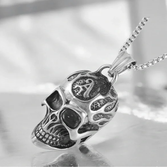 Skull Necklace 27.5 inches in Black Oxidized Stainless Steel